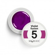 Mosaic 5 Violet fusion gel paint 5 ml