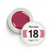 Mosaic 18 Tea rose gel paint 5 ml