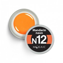 Mosaic N12 Mandarin neon gel paint 5 ml