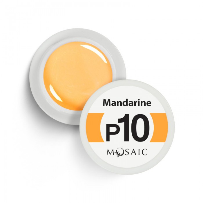 Mosaic P10 Mandarine gel paint 5 ml