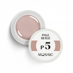 Mosaic P5 Pale beige gel paint 5 ml